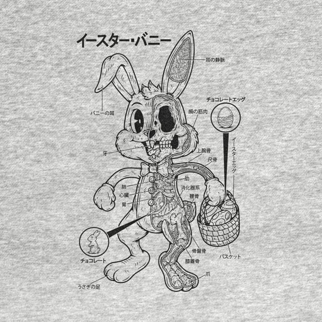 EASTER BUNNY ANATOMY - LINES by Firebrander